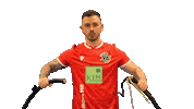 Hannover 96 Flash Sticker by H96eSports