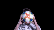dfb-teams ball germany dfb werner GIF