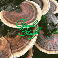GIF by Good Stuff