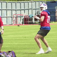 Buffalo Bills Nfl GIF