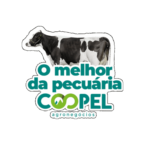 Agro Vaca Sticker by Coopel Agronegócios