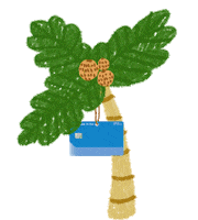 Palm Coconut Sticker by Shinhancard