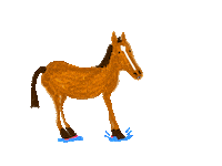 Horse Splash Sticker by Kimmy Ramone
