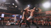 CNLChile  GIF