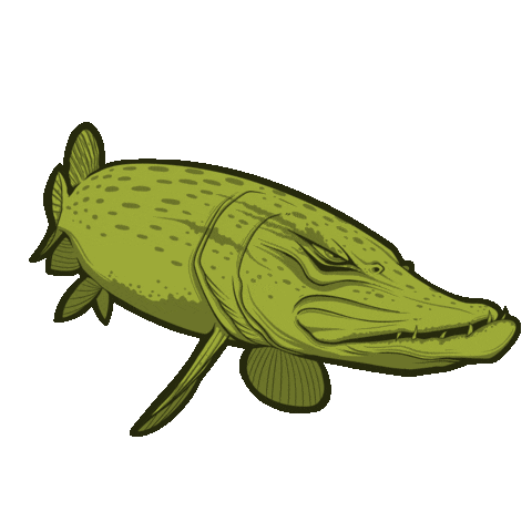 Pike Pesca Sticker by Jolly Fishing