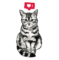 Heart Catheart Sticker