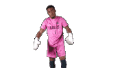 Goalkeeper Keeper Sticker by Carson-Newman Athletics