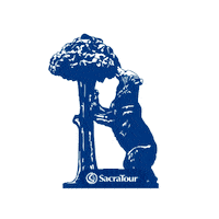 Madrid Peregrinacao Sticker by Sacratour