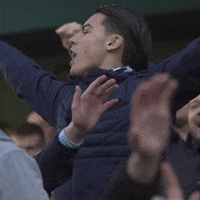The Lions Fans GIF by MillwallFC
