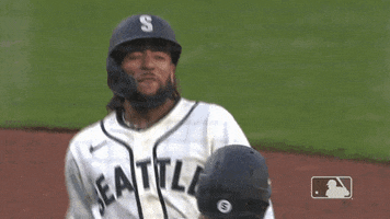 Lets Go Sport GIF by MLB