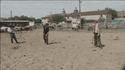 All Star Sport GIF by NASCAR