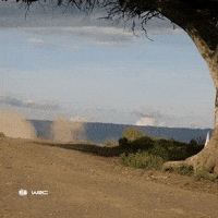 Flying Toyota Yaris GIF by FIA World Rally Championship