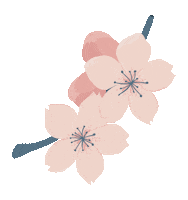 Cherry Blossom Sticker by Iris Tattoo