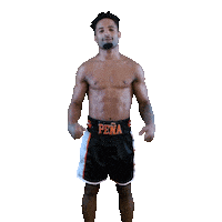 swissproboxing power strong flex biceps Sticker