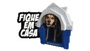Dog Home Sticker by Nutella Furacão