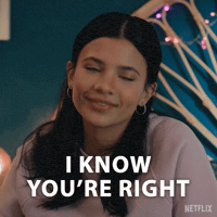I See What You Mean Fair Point GIF by NETFLIX