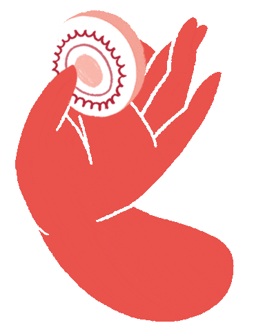 shariisy giphyupload hand cookie mao Sticker