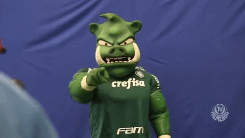 mascote vem ca GIF by SE Palmeiras