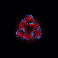 Art Loop GIF by xponentialdesign