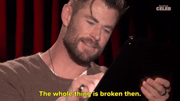 The Whole Thing Is Broken