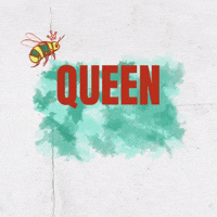 Avallenspirits queen drinks bee bees GIF