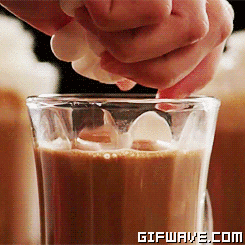 shirokuma cafe GIF