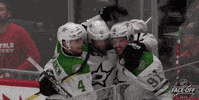 Ice Hockey Sport GIF by NHL