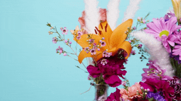 GIF by evite