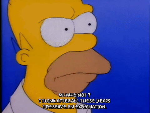 Season 1 Episode 3 GIF by The Simpsons