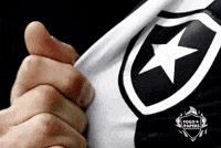 Bfr Alvinegro GIF