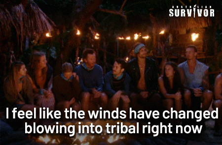 Wind GIF by Australian Survivor