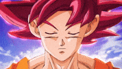 Dragon Ball Super Goku Vs Beerus GIF