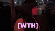 What The Hell Wtf GIF