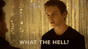 What The Hell GIF by HULU