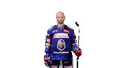 Hockey Hokej Sticker by Rytíři Kladno