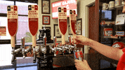 ul lafayette beer GIF by University of Louisiana at Lafayette