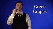 sign language asl GIF by Sign with Robert
