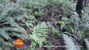 truffle dog GIF by Rachael Ray Show
