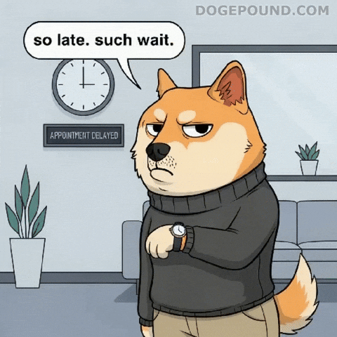 Shiba Inu Waiting GIF by Doge Pound