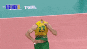 GIF by Volleyball World