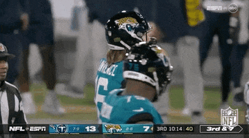 Jacksonville Jaguars Football GIF by NFL