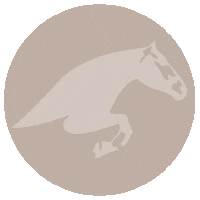 Gold Horse Sticker by Tops International Arena