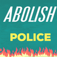 ResilienceOC abolishice abolishpolice abolishprisons abolishbinaries GIF