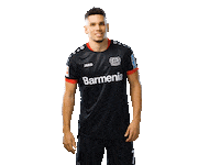 Bayer 04 Werkself Sticker by Bayer 04 Leverkusen