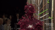 yousef akbar GIF by Mercedes-Benz Fashion Week Australia