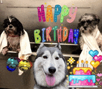 Celebrate Happy Birthday GIF
