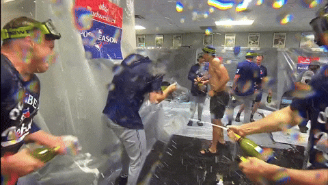 Blue Jays Baseball GIF by Toronto Blue Jays