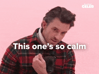 Matt Bomer Puppies GIF by BuzzFeed