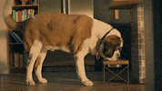 Tv Show Drinking GIF by Everything's Gonna Be Okay