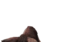 Run Horse Sticker by RUNFORMANCE